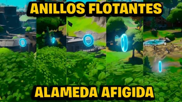 ubicación anillos flotantes alameda afligida